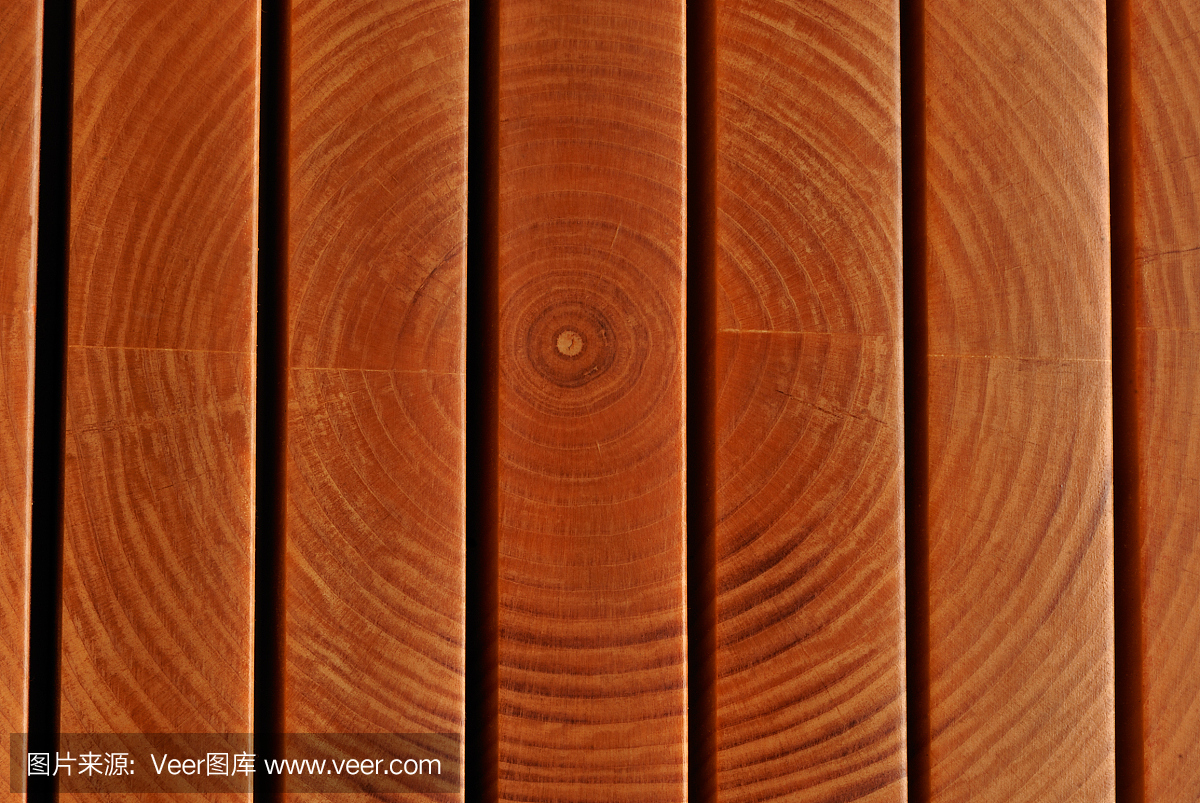 平或平锯木材木材标本